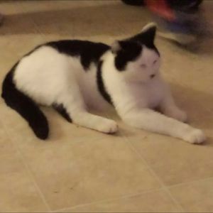 Meet your Posher, Christina